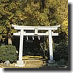 松本神社本殿（市指定有形文化財）