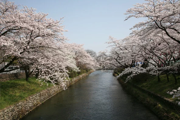 対岸にある多摩川上水