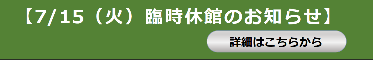 季節かざり「七夕かざり」詳細ページ