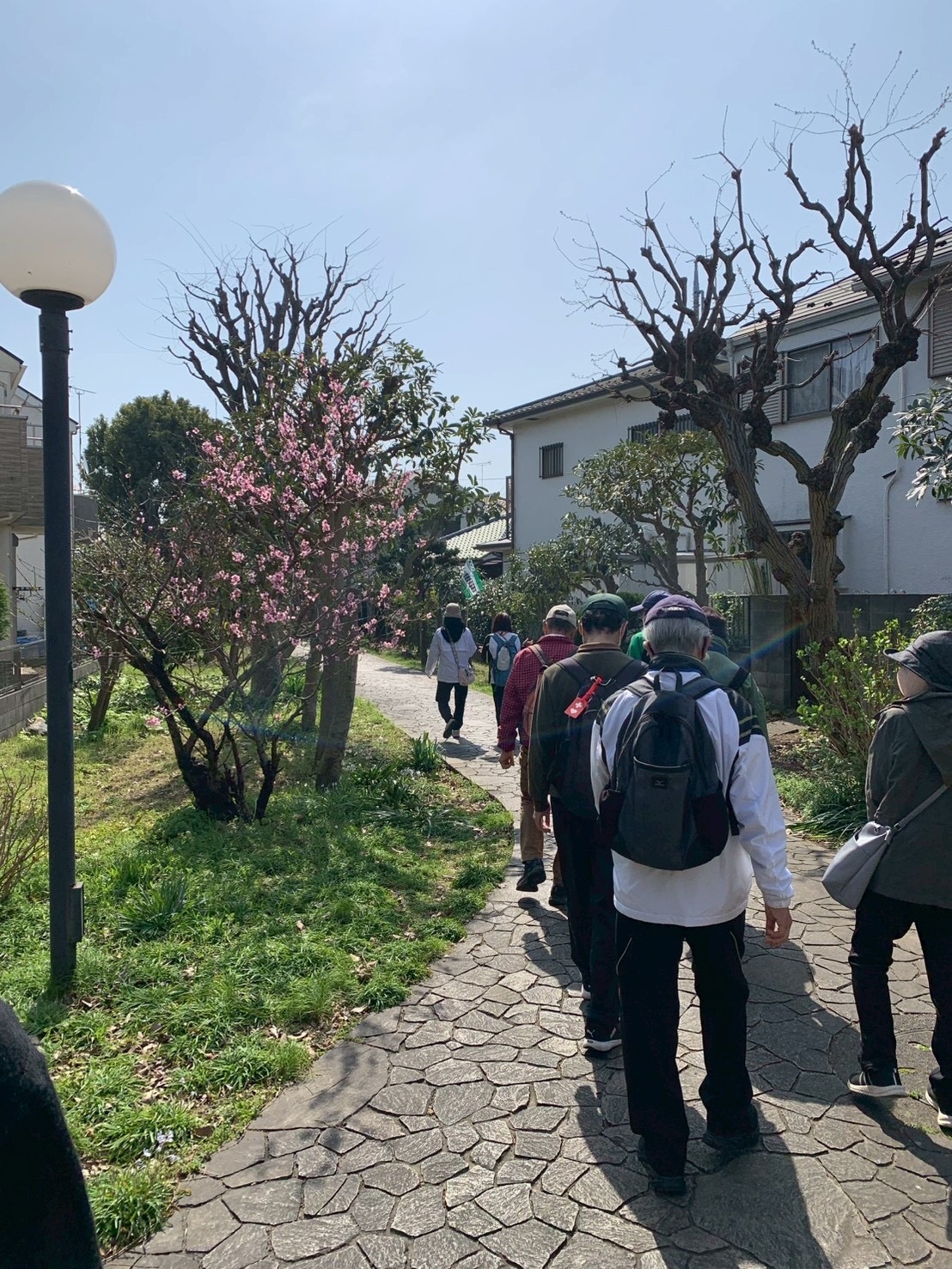 令和7年度四季のウォークⅡ①