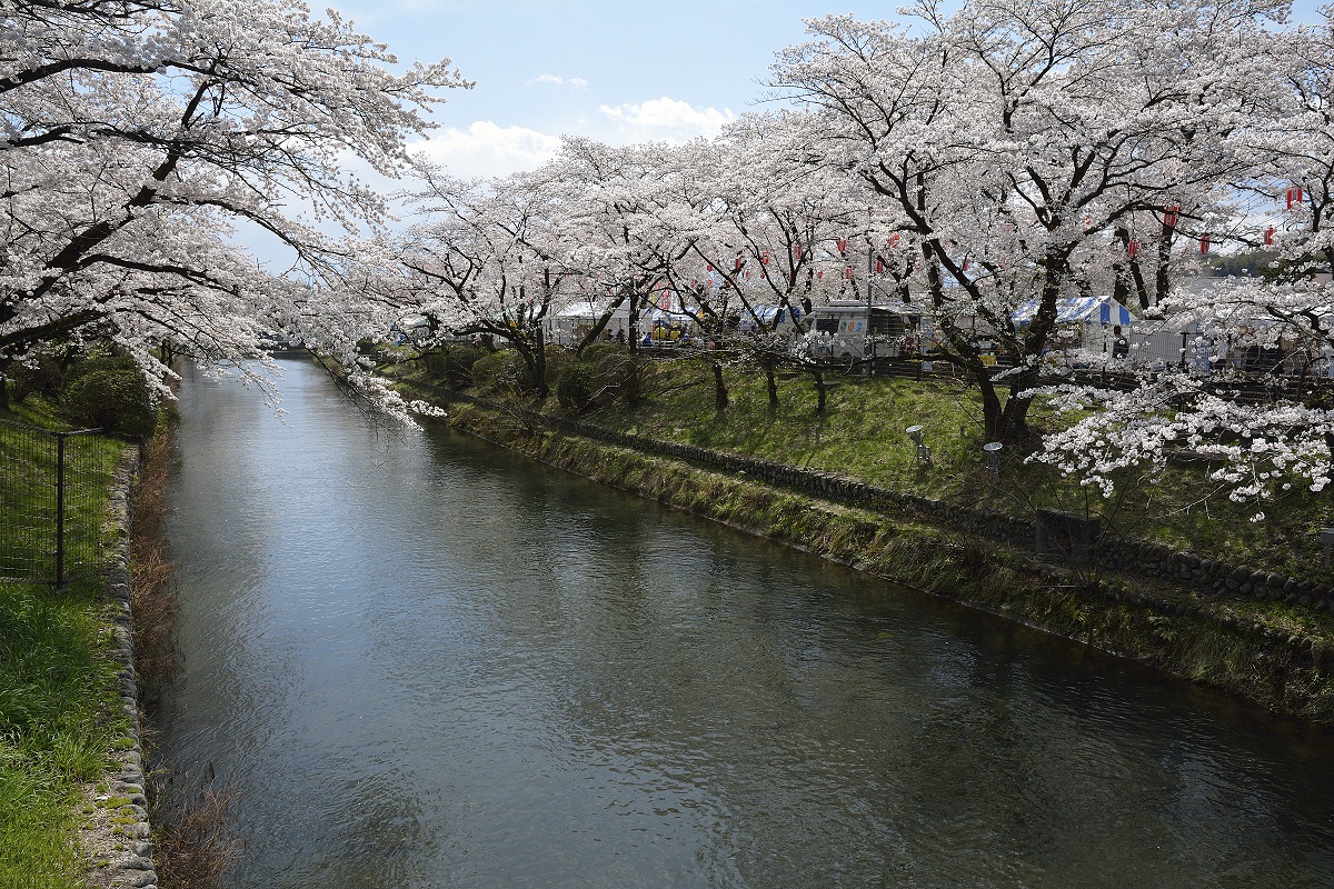 玉川上水の画像