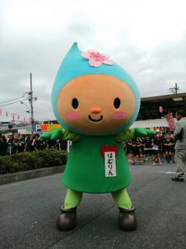 ソーラン練習の写真