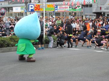 ソーランを踊るはむりんの写真