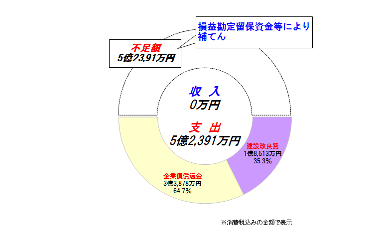 資本的収支円グラフ