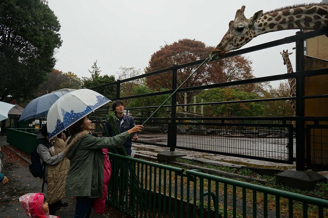 動物公園見学の様子