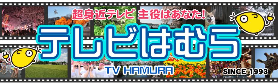 超身近テレビ 主役はあなた！テレビはむら