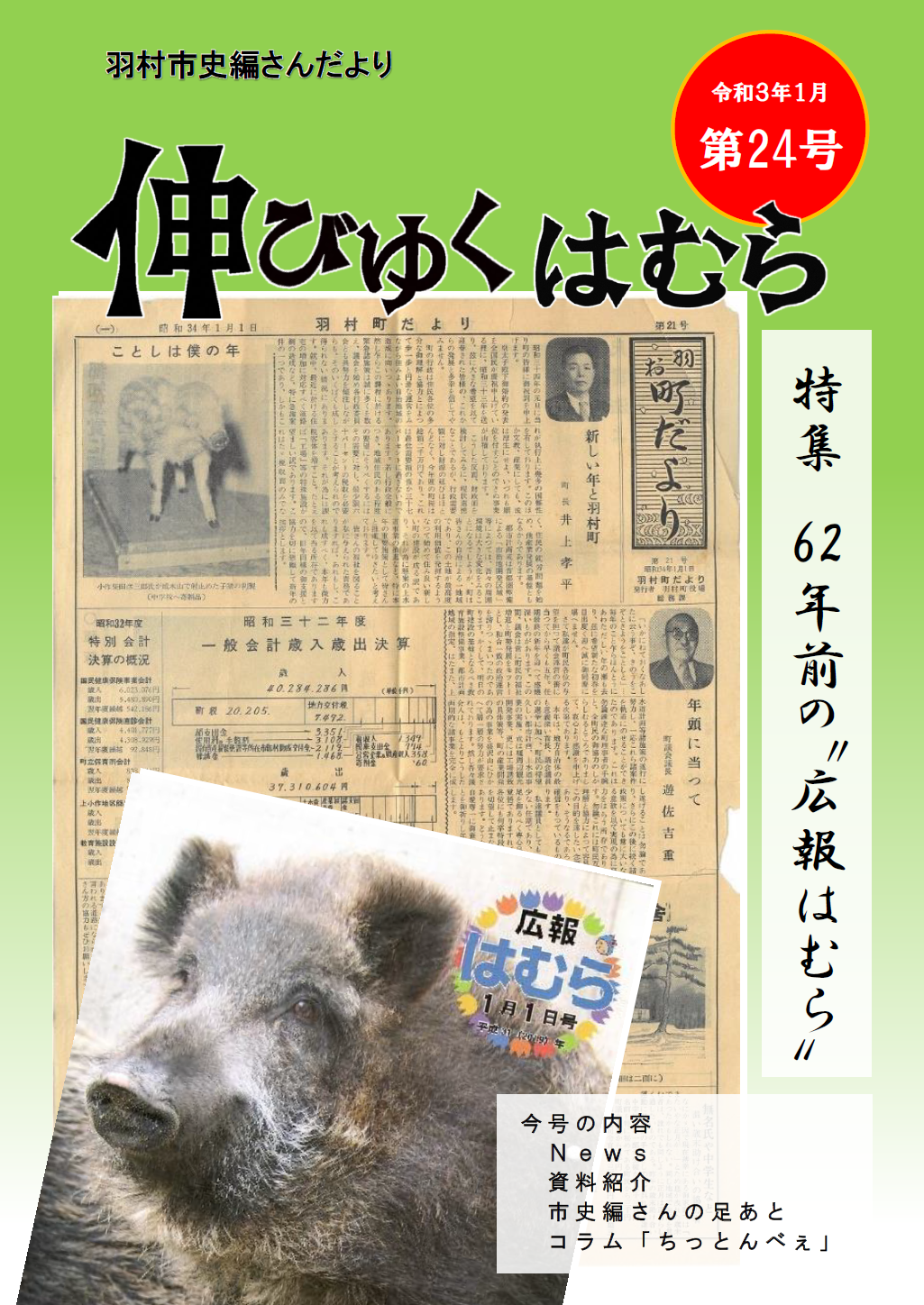 羽村市史編さんだより「伸びゆくはむら」第24号の画像