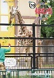 広報はむら6月1日号No.1046表紙動物公園の赤ちゃんキリン