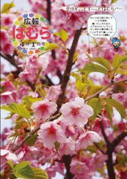広報はむら4月1日号No.1066表紙　ゆとろぎ前の河津桜