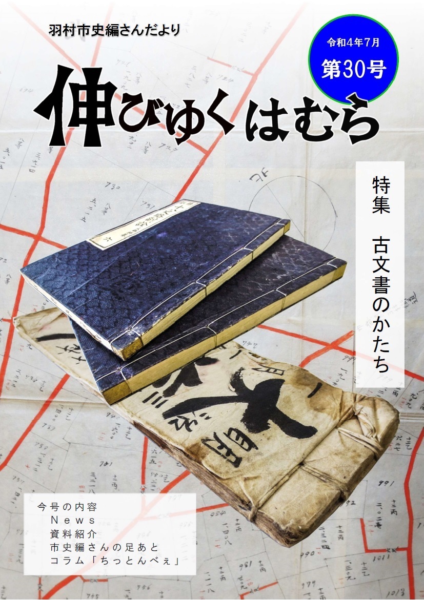 羽村市史編さんだより「伸びゆくはむら」第30号の画像