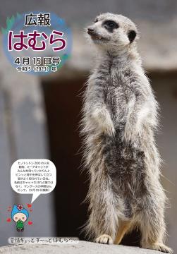 広報はむら4月15日号No.1091表紙　ヒノトントンZOOのミーアキャット