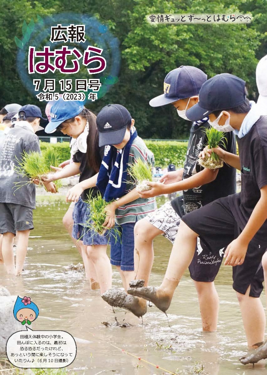 広報はむら7月15日号No.1097表紙　田植え体験中の小学生