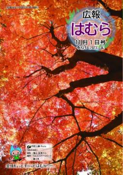 広報はむら11月1日号No.1104表紙　市民公募写真「深まる秋」（清水良男さん撮影）S&Dスポーツパーク富士見の紅葉