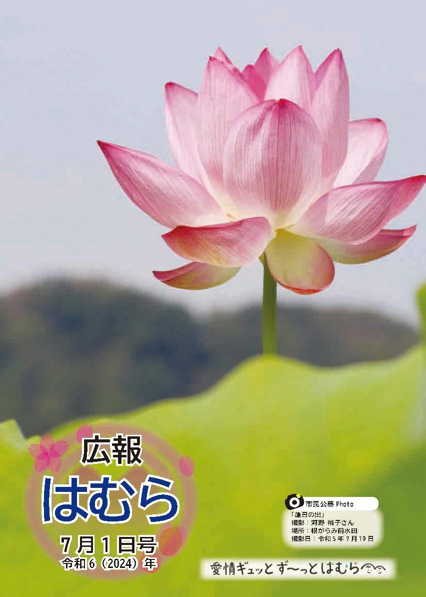 広報はむら7月1日号No.1120表紙　根がらみ前水田に咲く蓮の写真