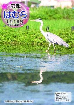 広報はむら8月1日号No.1122表紙（根がらみ前水田にたたずむアオサギの写真）
