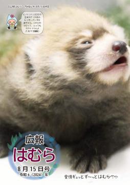 広報はむら8月15日号No.1123表紙（レッサーパンダの赤ちゃんの写真）