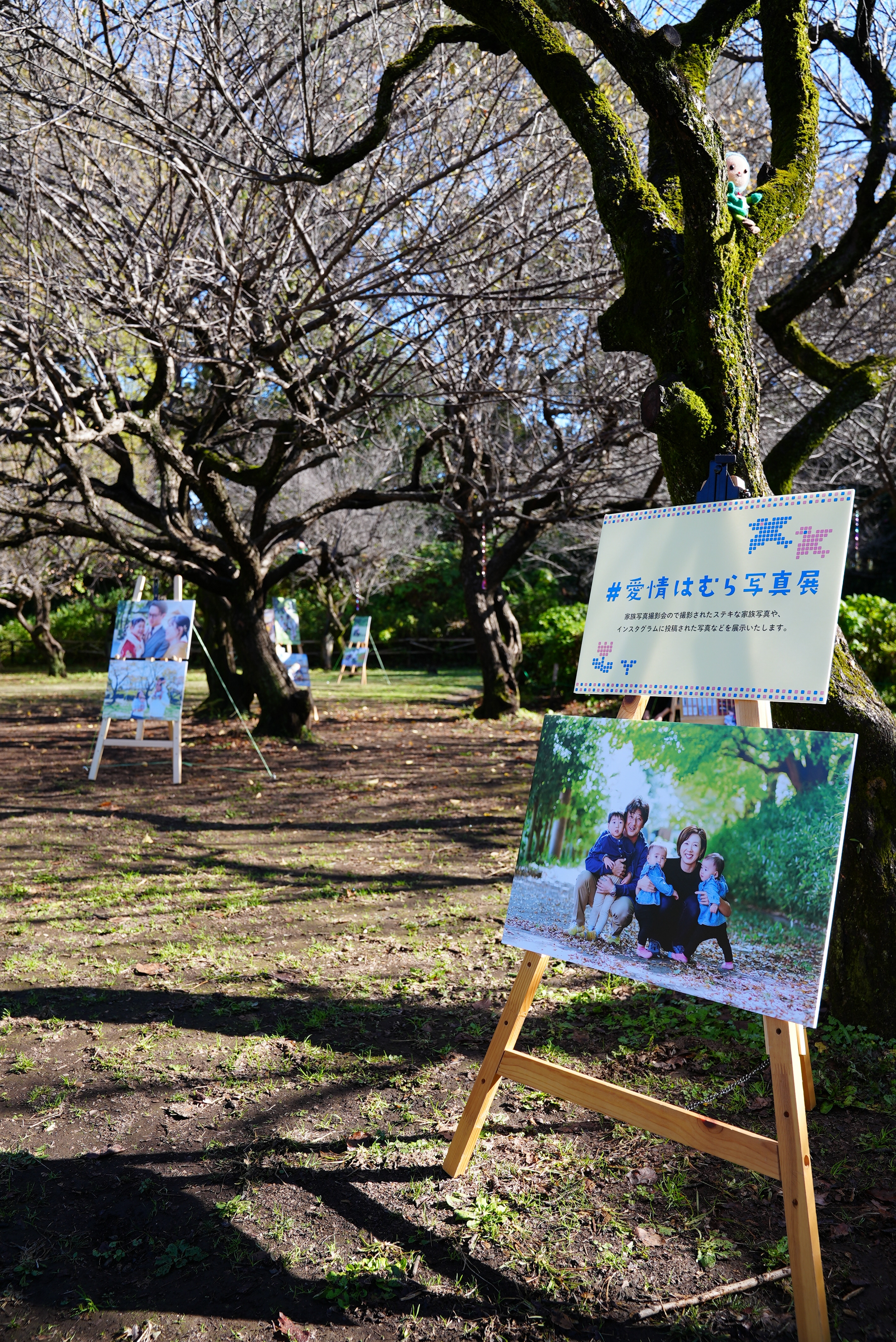 愛情はむら写真展1