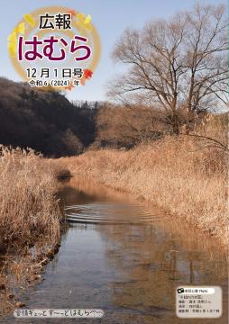 広報はむら12月1日号No.1130表紙（ススキの枯れ草に覆われた多摩川の河原と浅瀬）