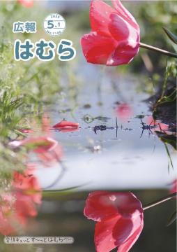 広報はむら5月1日号No.1140表紙（水鏡）