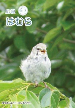 広報はむら6月1日号No.1142表紙（風音に負けじとさえずるウグイス）