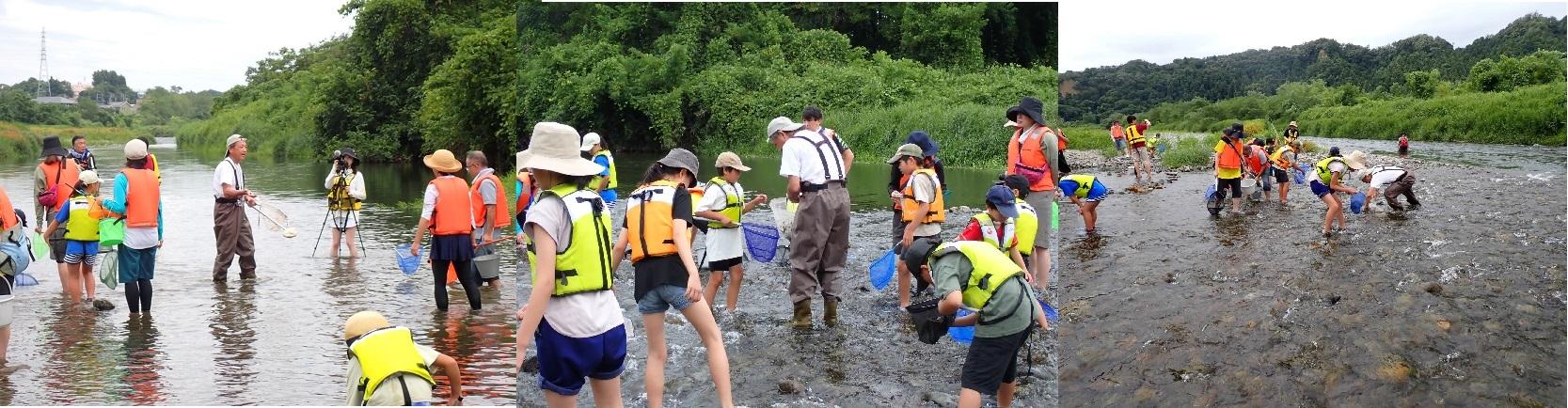 水辺観察会 当日 子供たちと講師が川で生き物を採集する様子