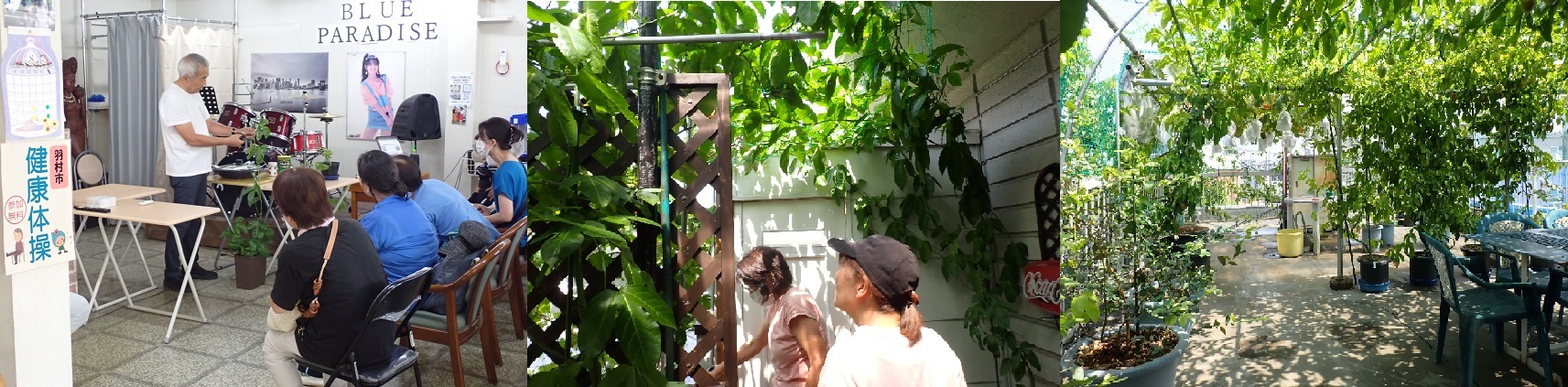 令和7年8月23日に行われたグリーンカーテン講習会・夏編の3枚の画像　松崎講師がパッションフルーツを剪定する様子　会場のグリーンカーテンを見る参加者　会場のグリーンカーテンの様子