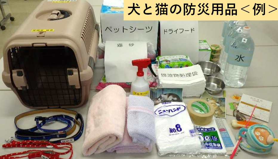 犬と猫の防災用品（例）