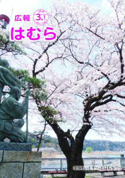 広報はむら3月1日号No.1160表紙（堰と桜を守る）