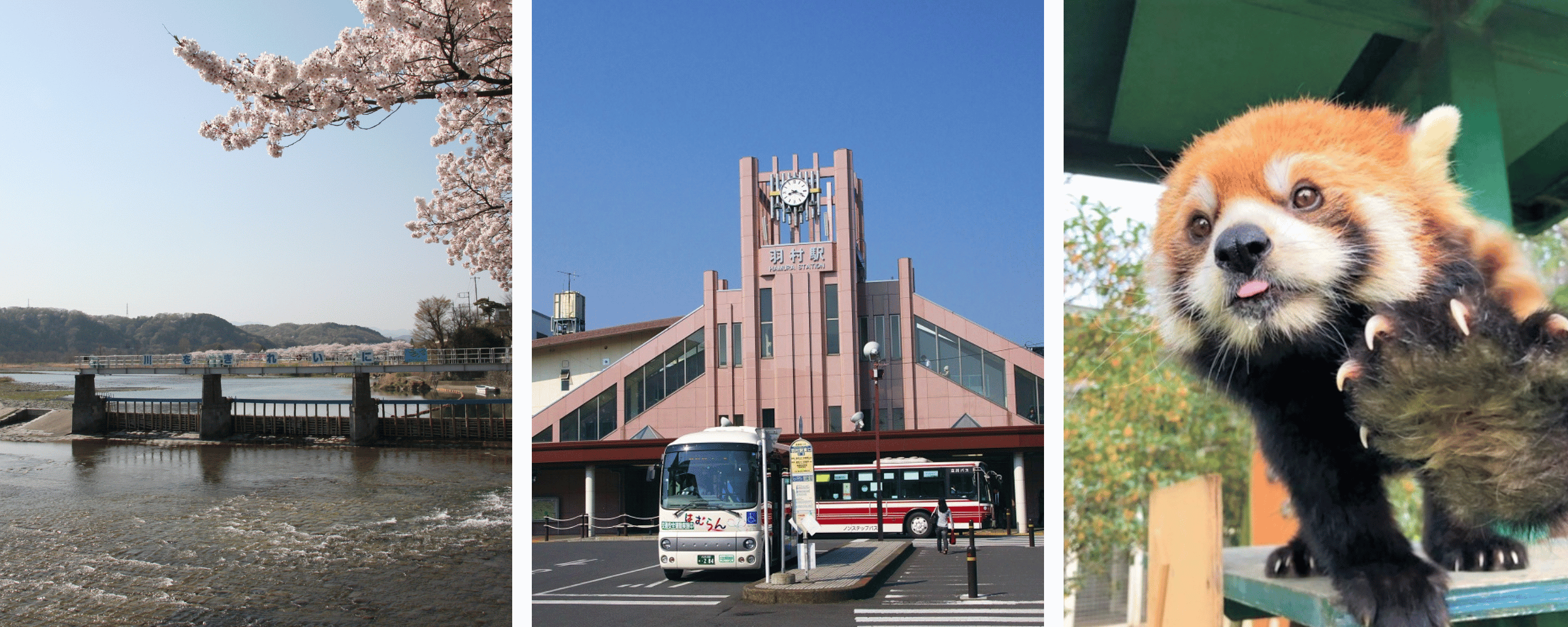 はむらの景色写真