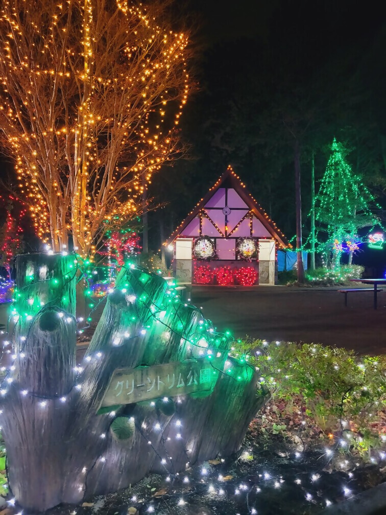 イルミネーションの様子（公園入口）
