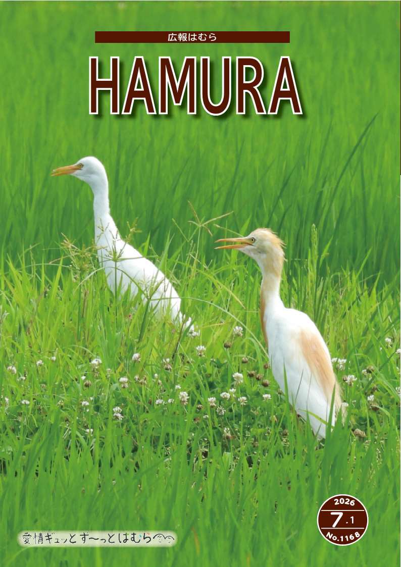 広報はむら7月1日号No.1168表紙（避暑の寄り道）
