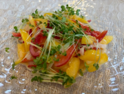 料理の画像