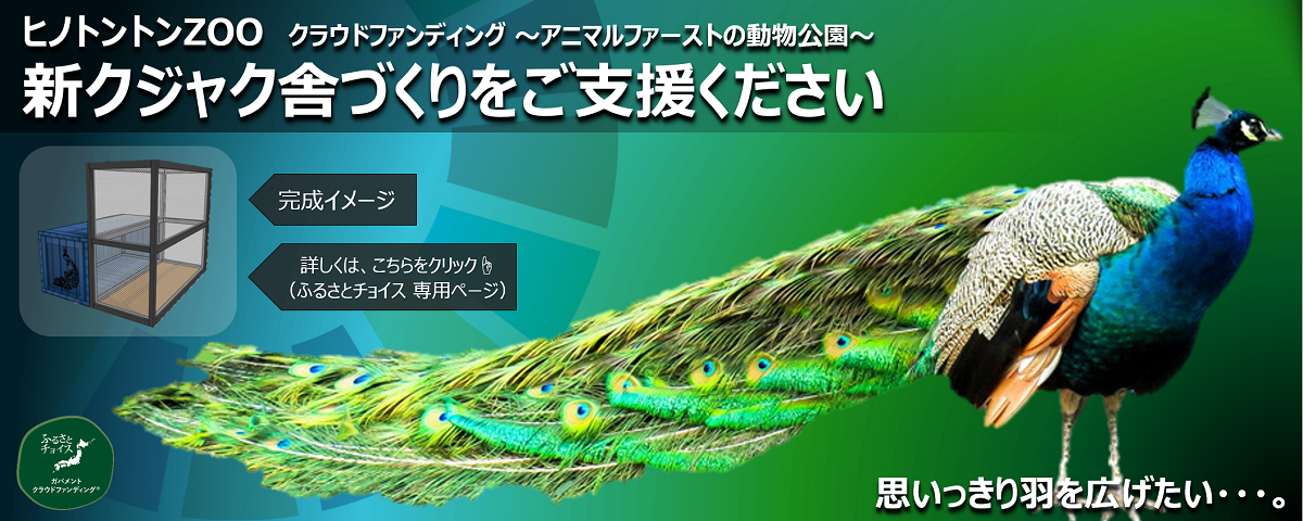 羽村市公式サイト 一番人気物 ゆさん専用ページ 5月3日 その他