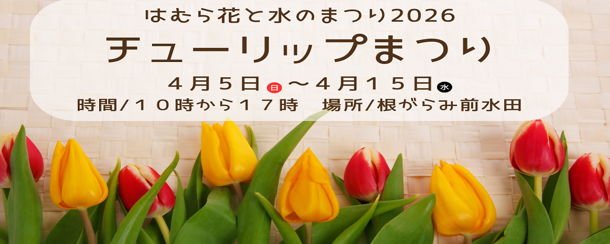 はむら花と水のまつり2026　チューリップまつり