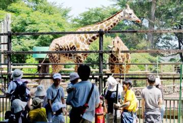 動物公園の画像