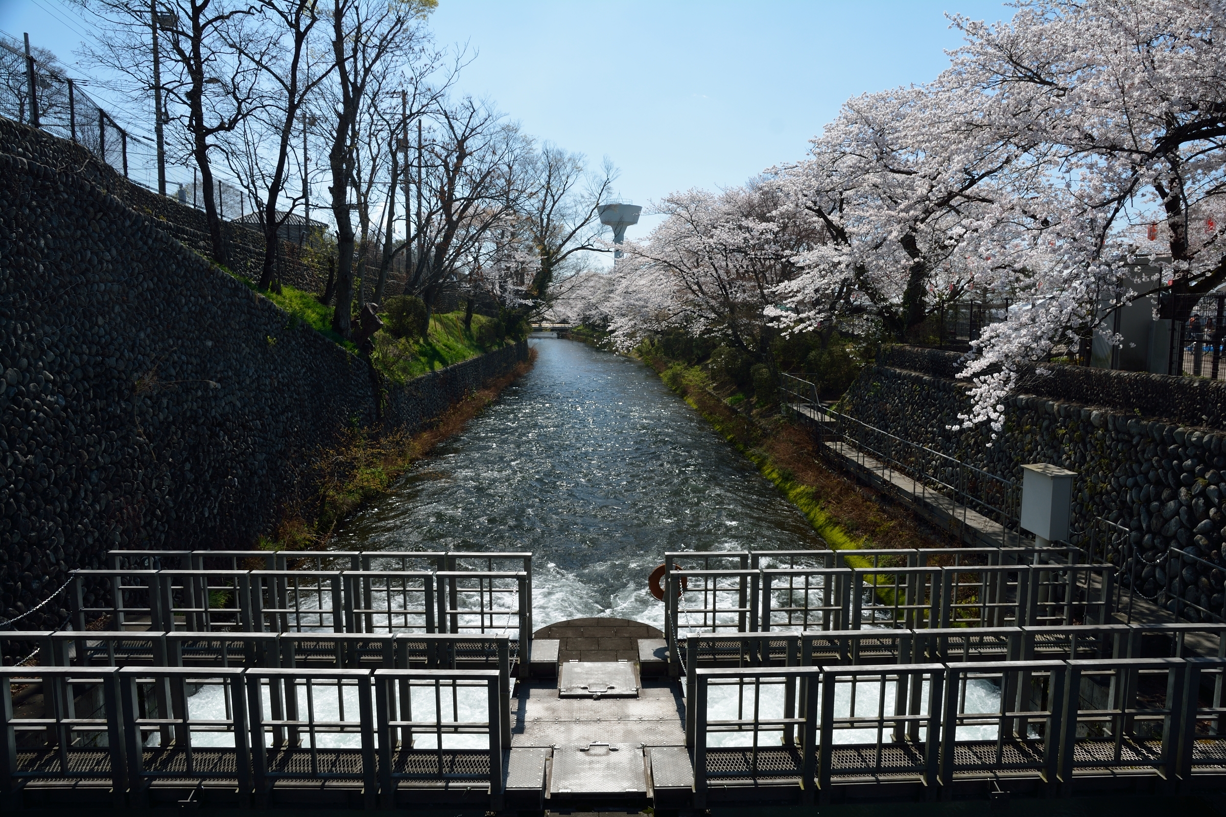 玉川上水