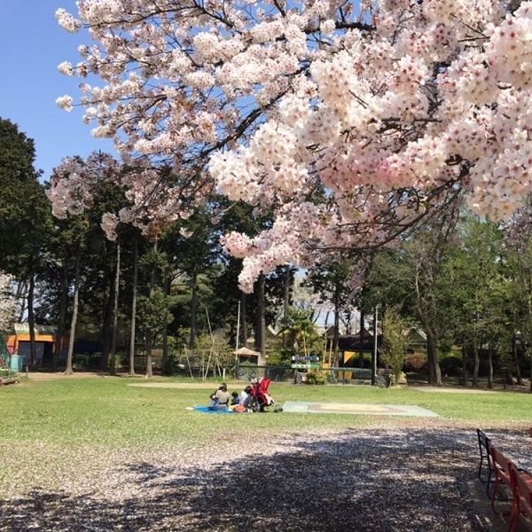 yuzu_kabosu_sudachiさんからの投稿