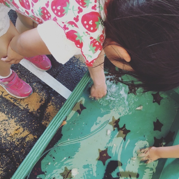 hiro16s19さんからの投稿