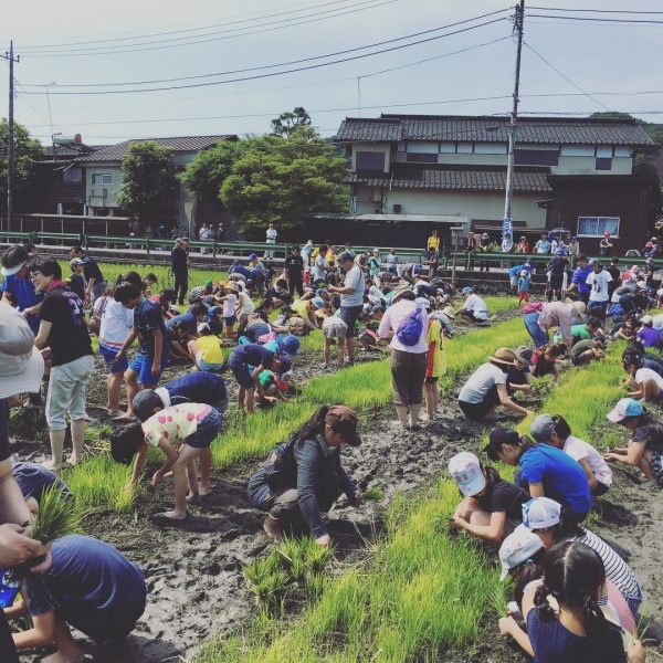 hiro16.s19さんからの投稿