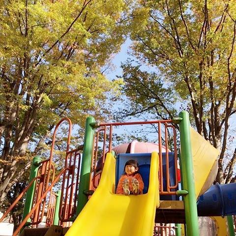 pino.y_yさんの投稿