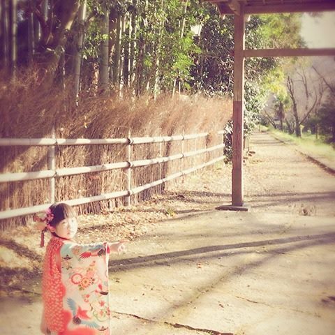 pino.y_yさんの投稿