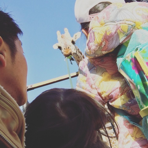 hiro16.s19さんの投稿