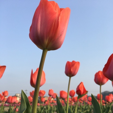 makikobearさんの投稿