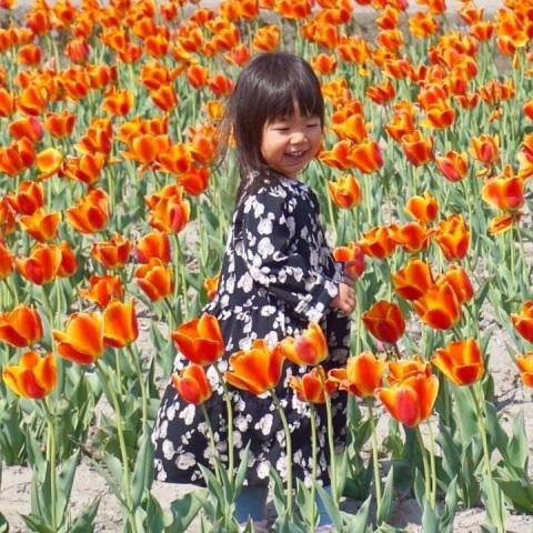 arisa_mimeさんの投稿