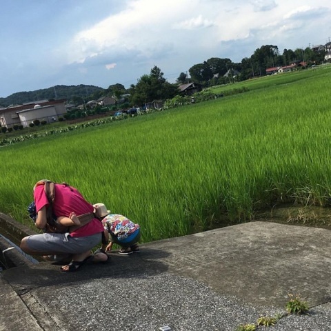 y.ktdさんの投稿