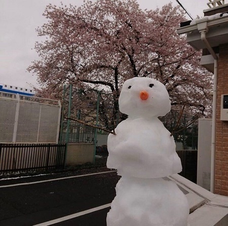 @miechanlovelove さんの投稿