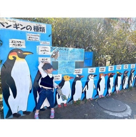 @penguin_mama3 さんの投稿