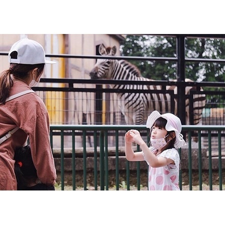 @tohyamiyashita さんの投稿