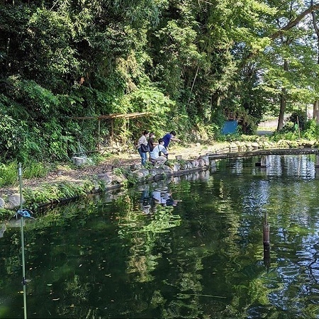 m.deme さんの投稿