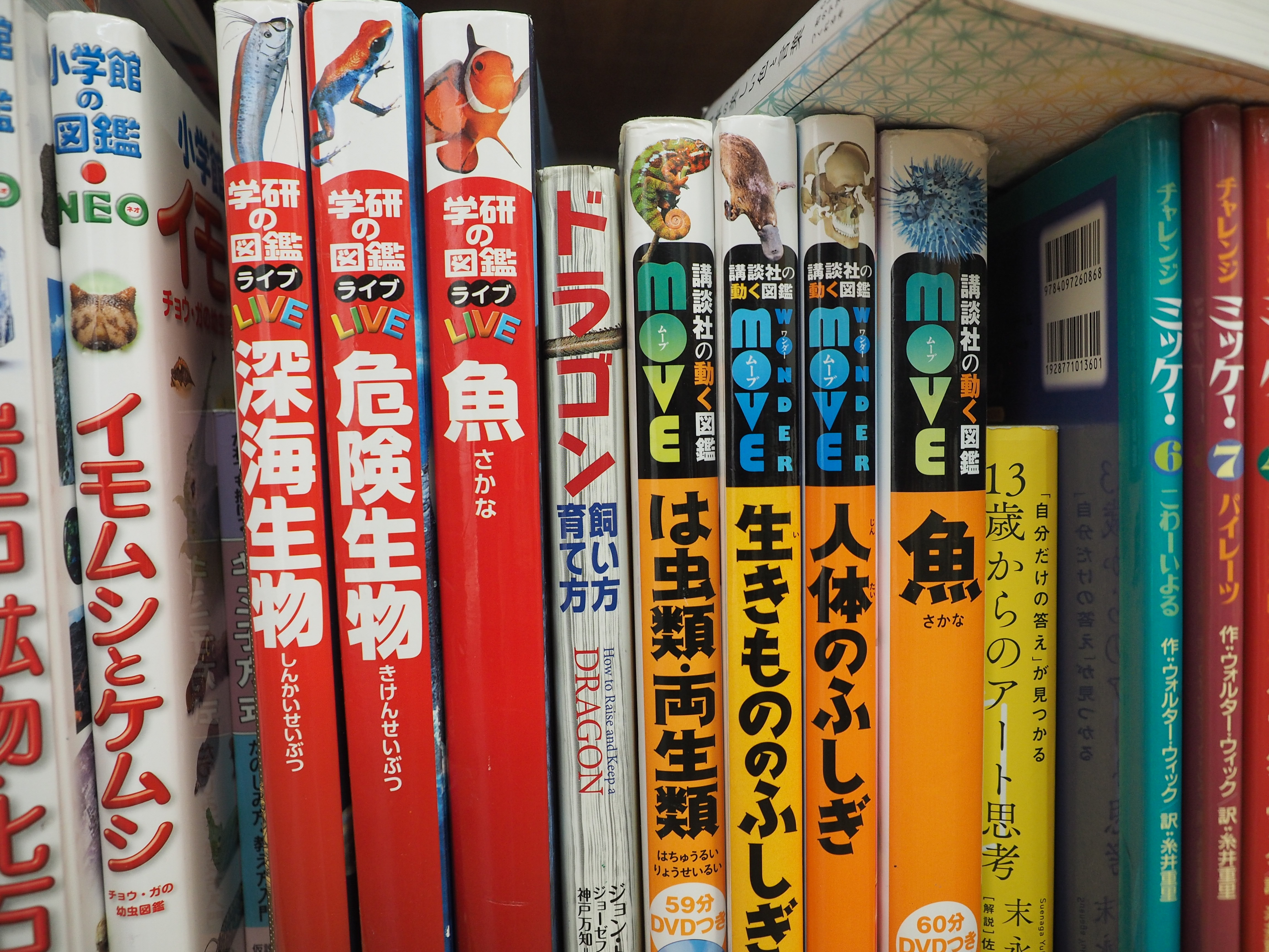 本の写真